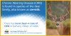 factcard_2