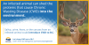 factcard_6