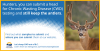 factcard_9