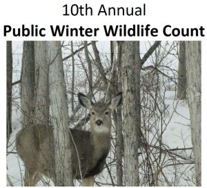 2017 Public Wildlife Count Mule Deer Fawn