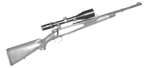 Image of a hunting rifle