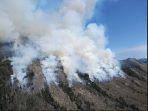 Photo of Burns on the Tuchodi