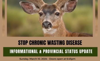 CWD Information Session Poster