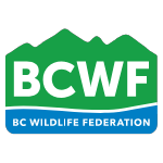 BC Wildlife Federation
